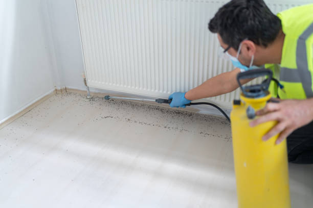 Best Pest Prevention Services  in Lorane, PA